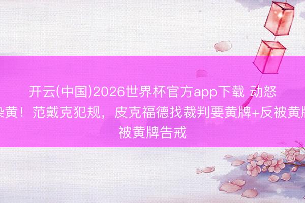 开云(中国)2026世界杯官方app下载 动怒判罚染黄！范戴克犯规，皮克福德找裁判要黄牌+反被黄牌告戒