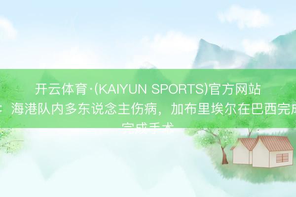 开云体育·(KAIYUN SPORTS)官方网站 跟队：海港队内多东说念主伤病，加布里埃尔在巴西完成手术
