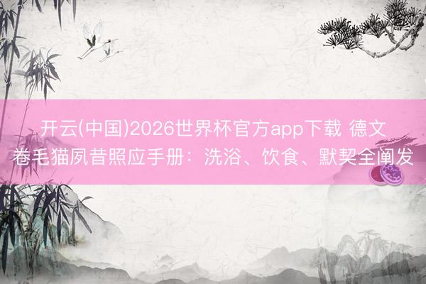 开云(中国)2026世界杯官方app下载 德文卷毛猫夙昔照应手册：洗浴、饮食、默契全阐发