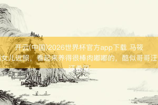 开云(中国)2026世界杯官方app下载 马筱梅晒女儿近照，看起来养得很棒肉嘟嘟的，酷似哥哥汪希箖