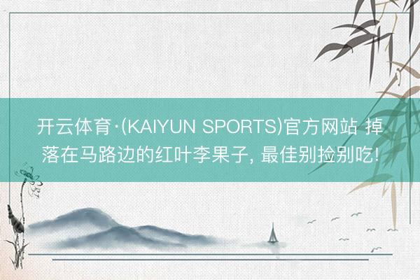 开云体育·(KAIYUN SPORTS)官方网站 掉落在马路边的红叶李果子， 最佳别捡别吃!