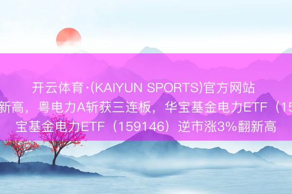 开云体育·(KAIYUN SPORTS)官方网站 涨停潮！多地电力负荷翻新高，粤电力A斩获三连板，华宝基金电力ETF（159146）逆市涨3%翻新高