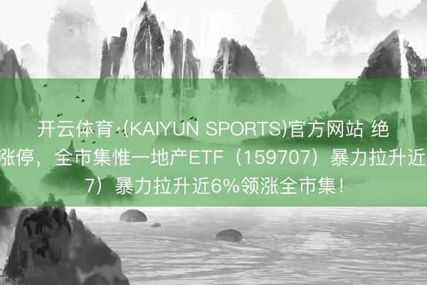 开云体育·(KAIYUN SPORTS)官方网站 绝地反击！万科A涨停，全市集惟一地产ETF（159707）暴力拉升近6%领涨全市集！