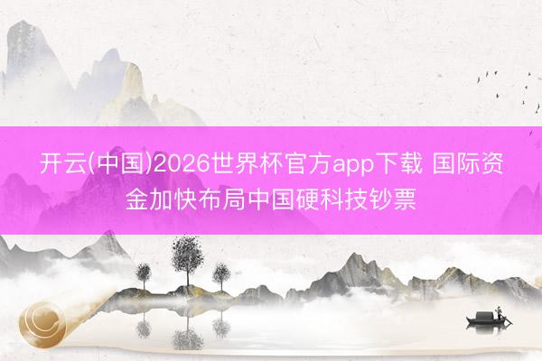 开云(中国)2026世界杯官方app下载 国际资金加快布局中国硬科技钞票