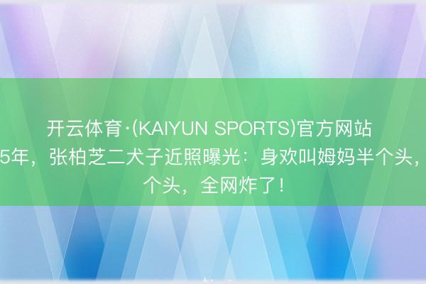 开云体育·(KAIYUN SPORTS)官方网站 独自带娃15年，张柏芝二犬子近照曝光：身欢叫姆妈半个头，全网炸了！