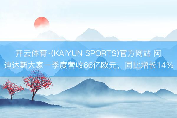 开云体育·(KAIYUN SPORTS)官方网站 阿迪达斯大家一季度营收66亿欧元，同比增长14%