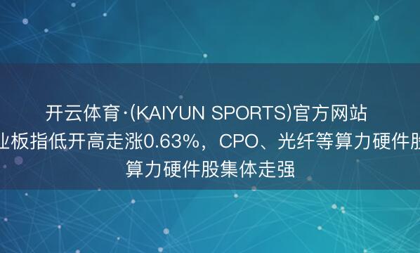 开云体育·(KAIYUN SPORTS)官方网站 午评：创业板指低开高走涨0.63%，CPO、光纤等算力硬件股集体走强